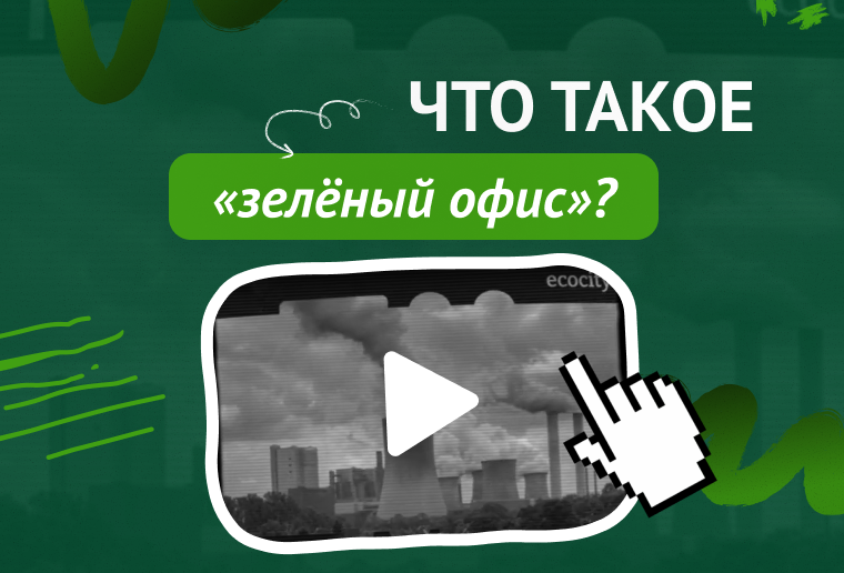 Что такое «зелёный офис» и каким он должен быть?